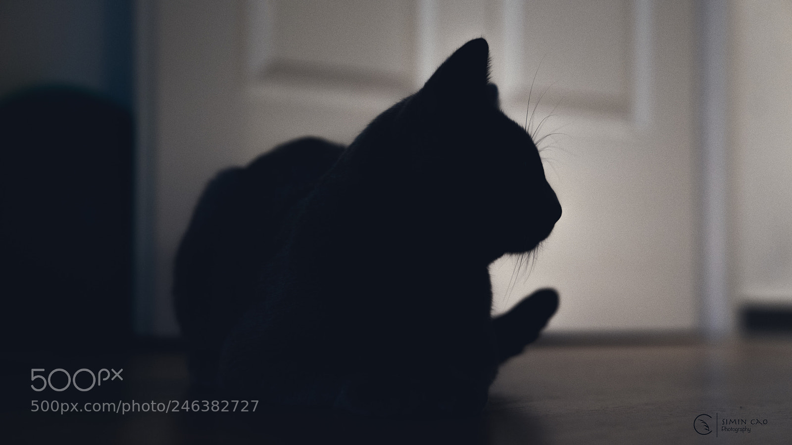 Sony a7R II sample photo. The secret visitor photography