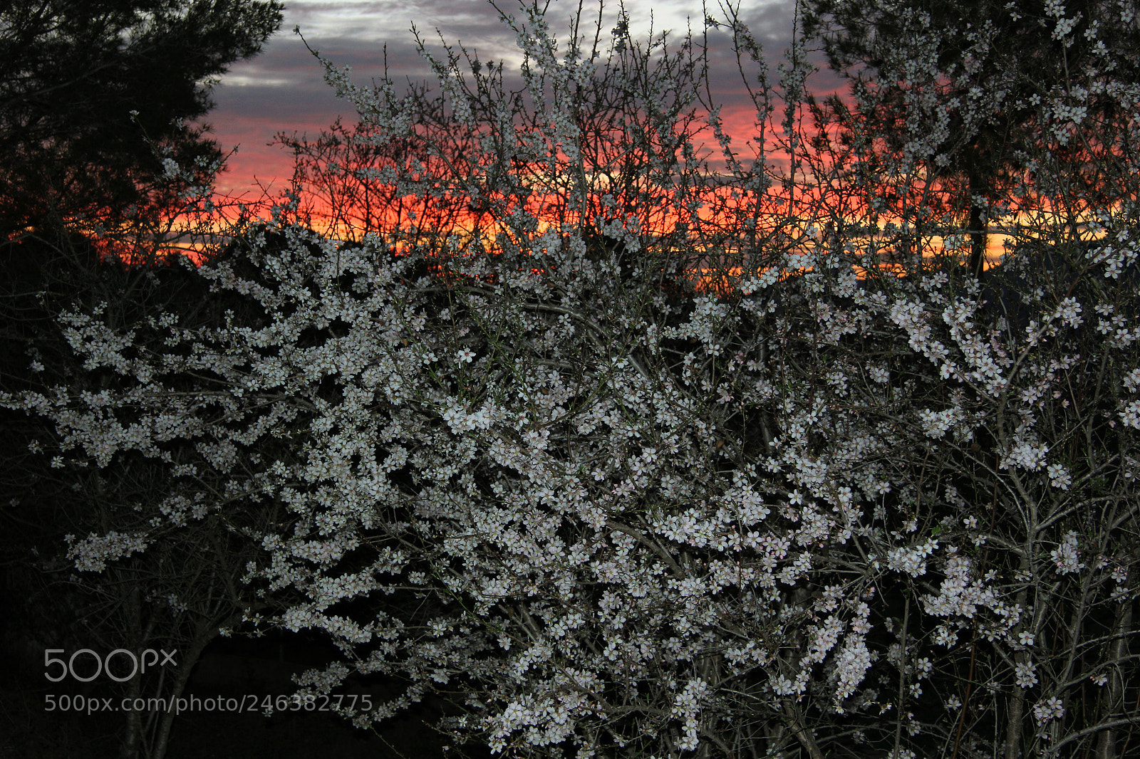 Canon EOS 60D sample photo. Atardecer photography