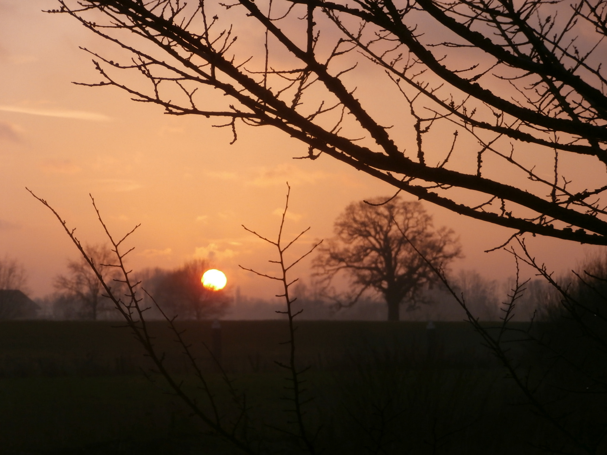 Olympus VR340,D750 sample photo. The end of the day photography