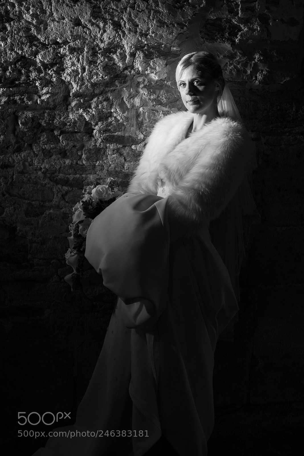 Sony a7R III sample photo. Dilemma, i think i photography
