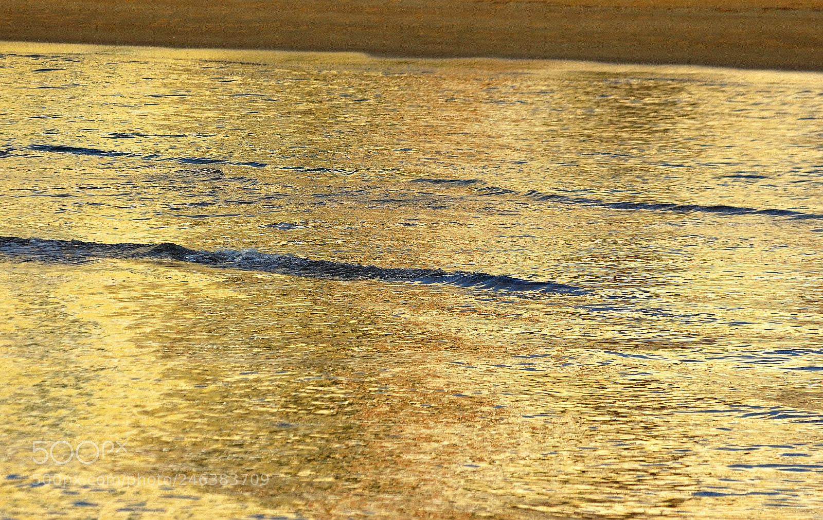 Nikon D70s sample photo. Untitled photography