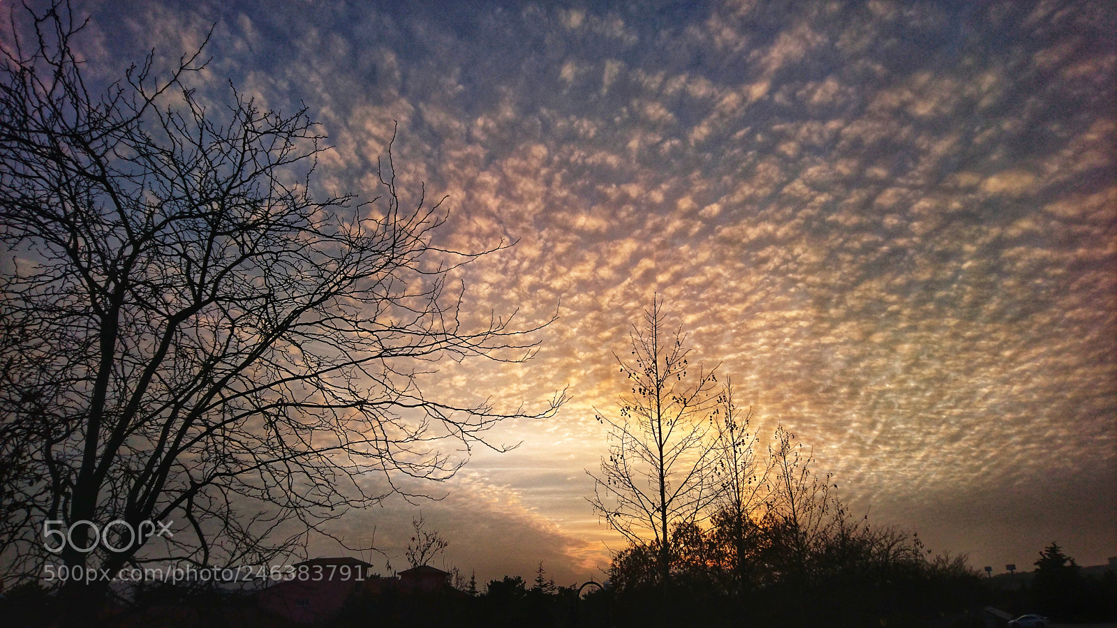 Sony Xperia Z5 sample photo. At sunset photography