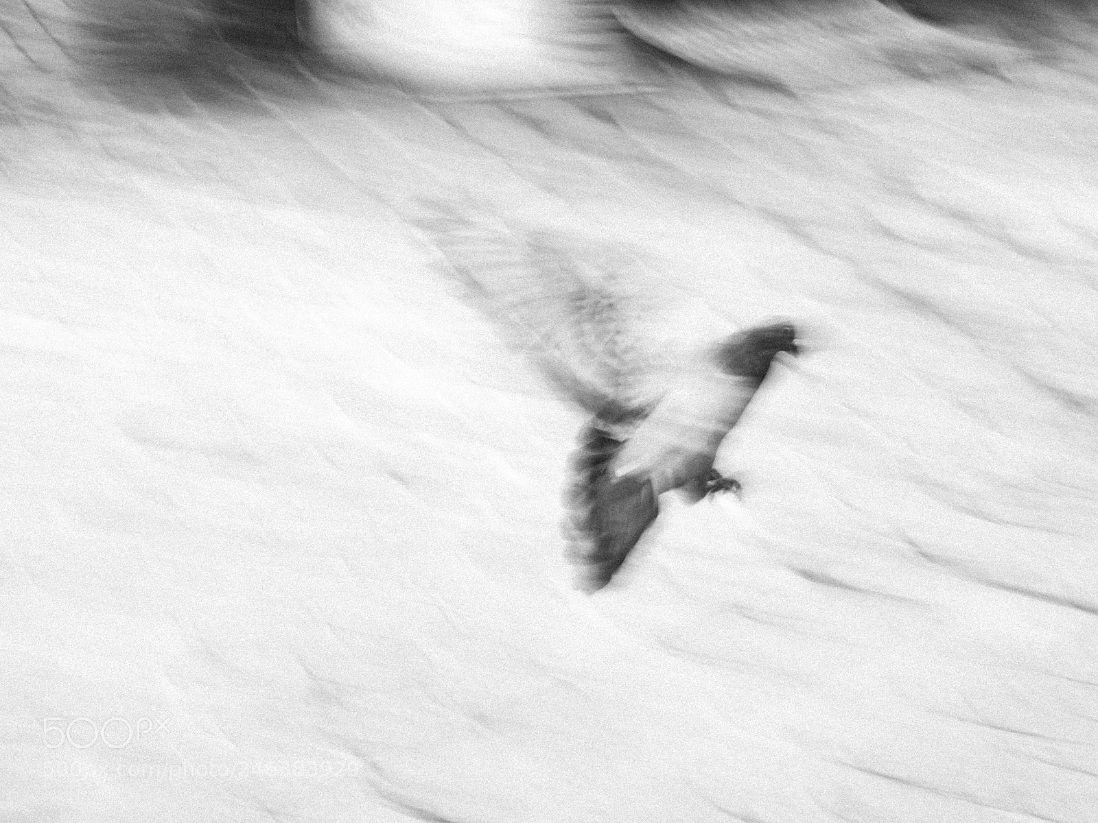 Olympus OM-D E-M10 II sample photo. Above the surface photography