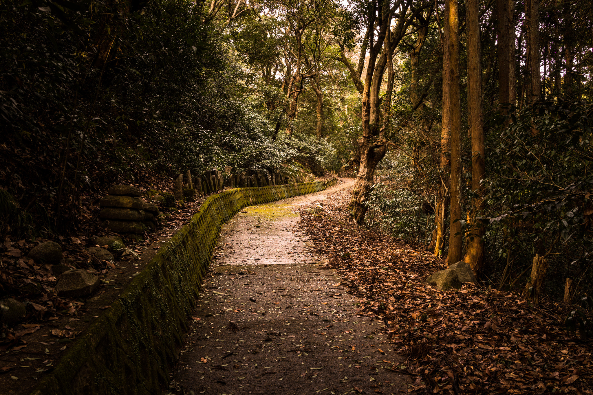 Sony Cyber-shot DSC-RX1R sample photo. Serene road photography