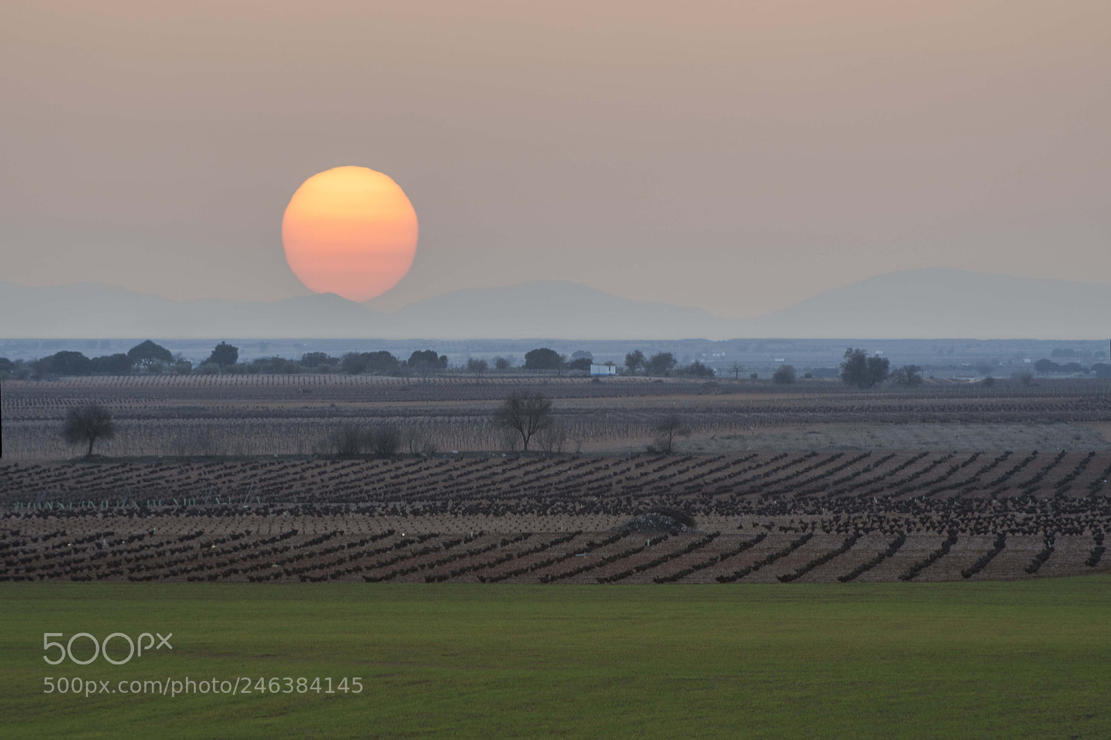 Nikon D500 sample photo. Superluna en el toboso photography