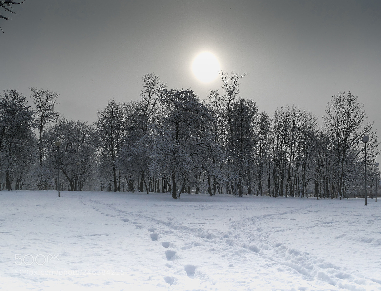 Panasonic Lumix DMC-FZ1000 sample photo. Winter landscape photography