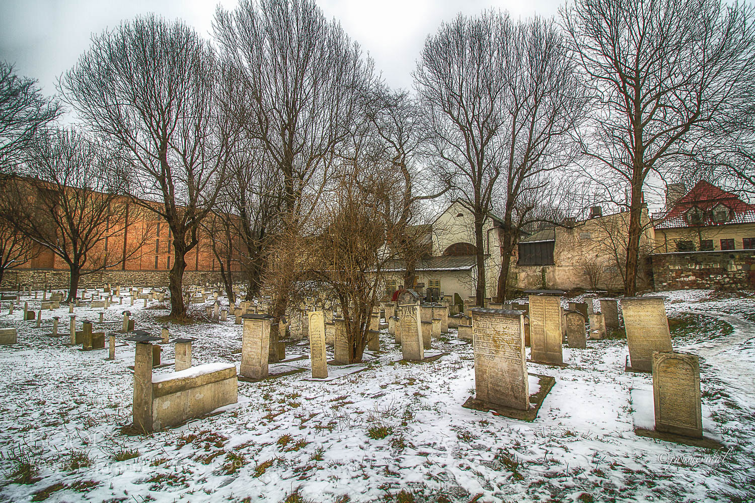 Canon EOS 7D sample photo. Cementerio judio del barrio photography