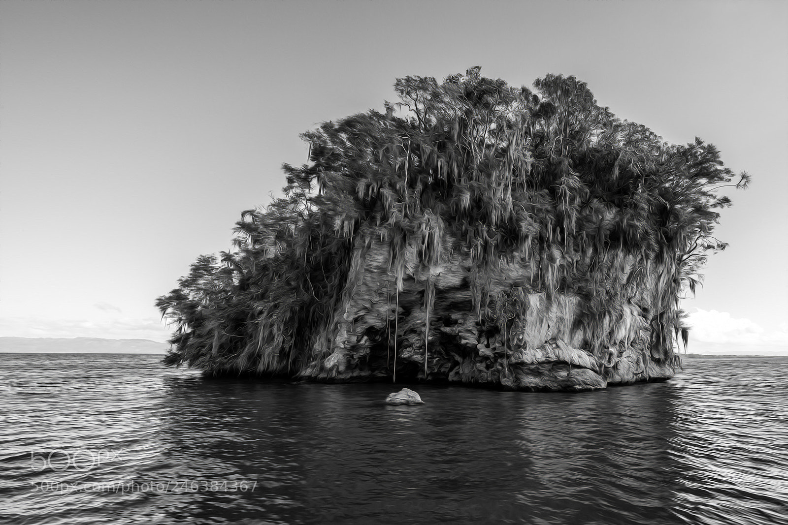 Sony a7R II sample photo. Samaná photography