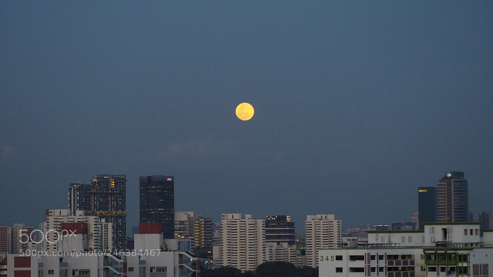 Olympus OM-D E-M10 II sample photo. Full moon photography