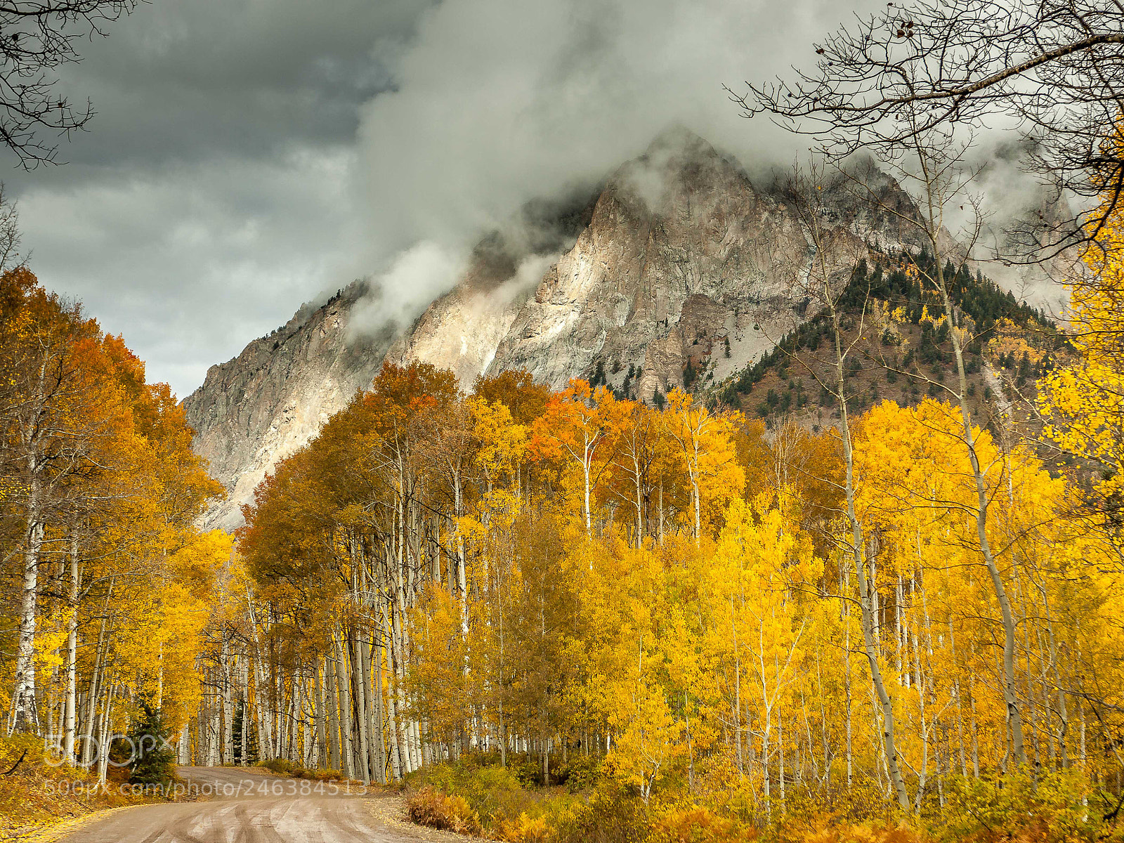 Canon EOS 50D sample photo. Colorado aspen photography
