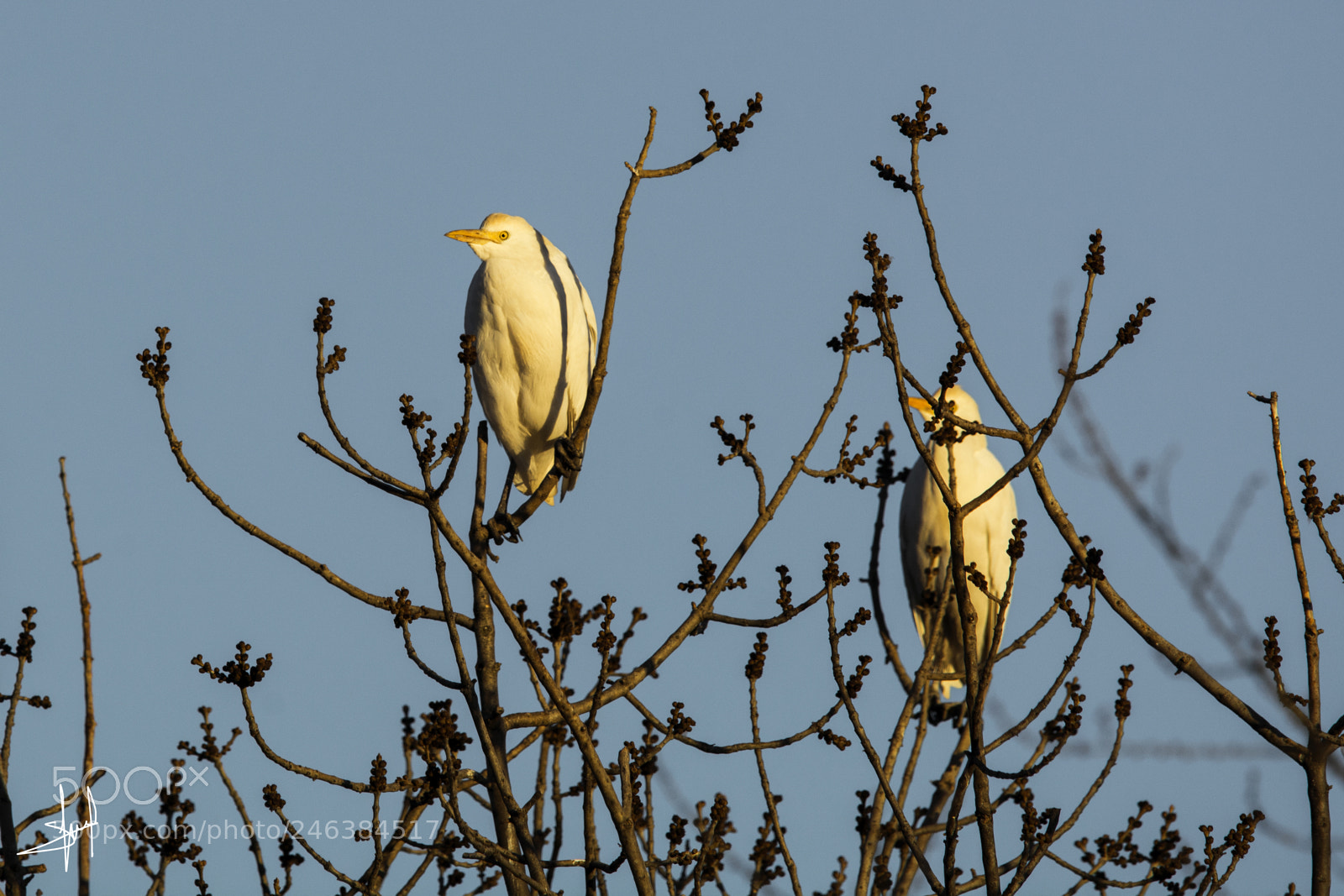 Nikon D7100 sample photo. In the last sun photography