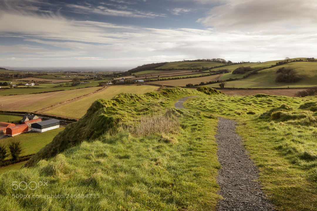 Canon EOS 5DS sample photo. Untitled photography