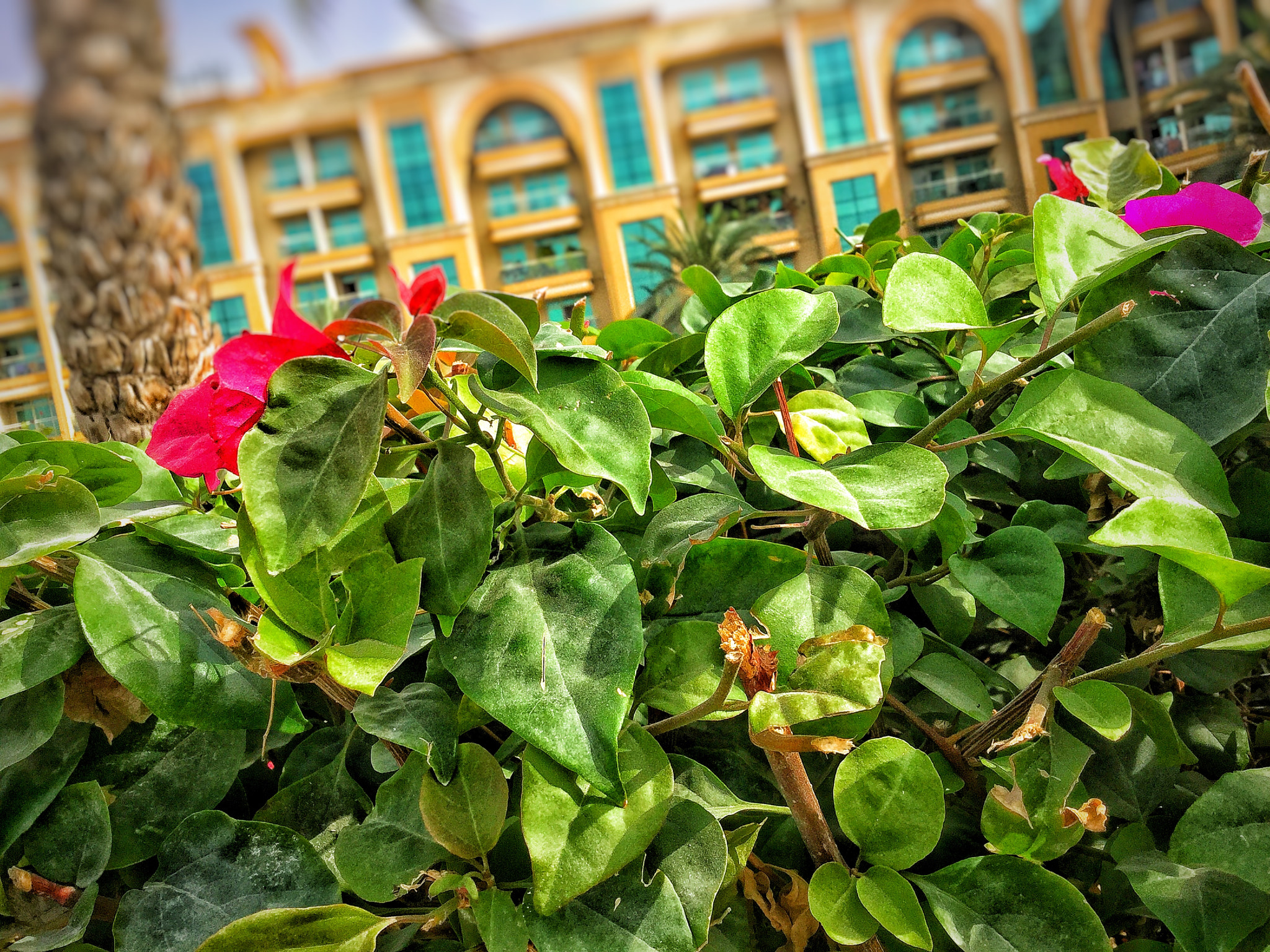 Apple iPad mini 4 sample photo