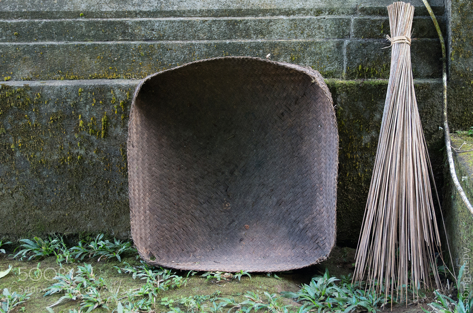 Pentax K-30 sample photo. Dustpan and brush photography