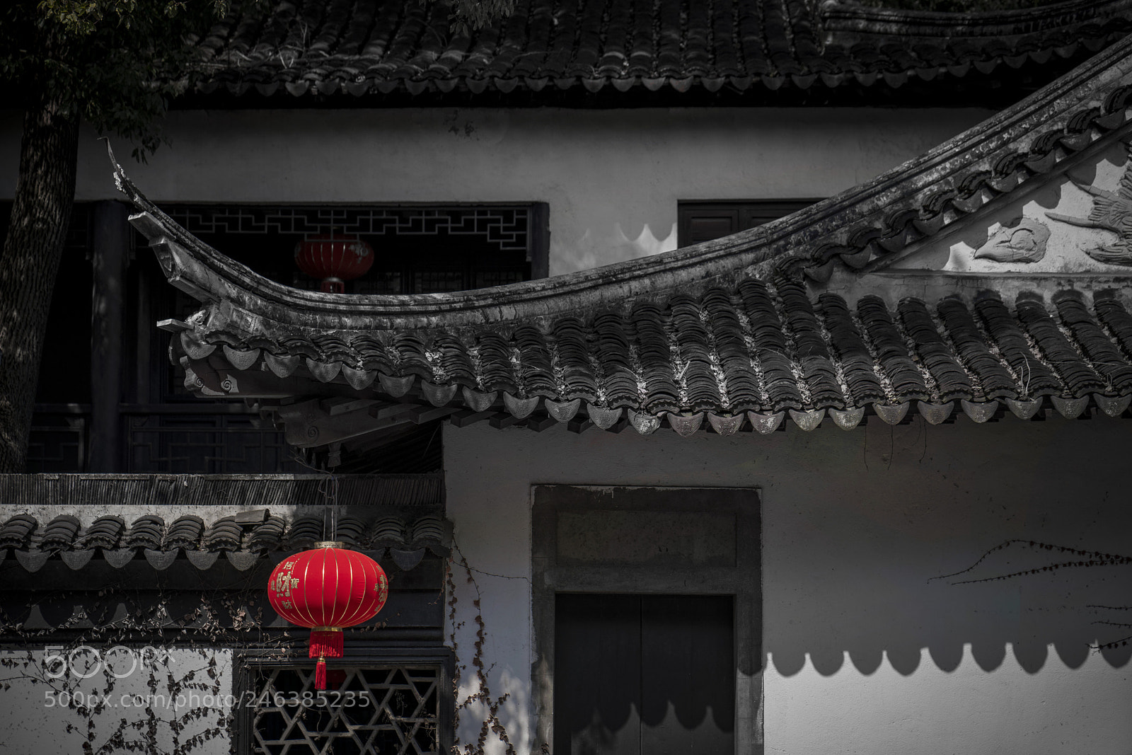 Sony a7R III sample photo. Chinese new year 中国正月 photography