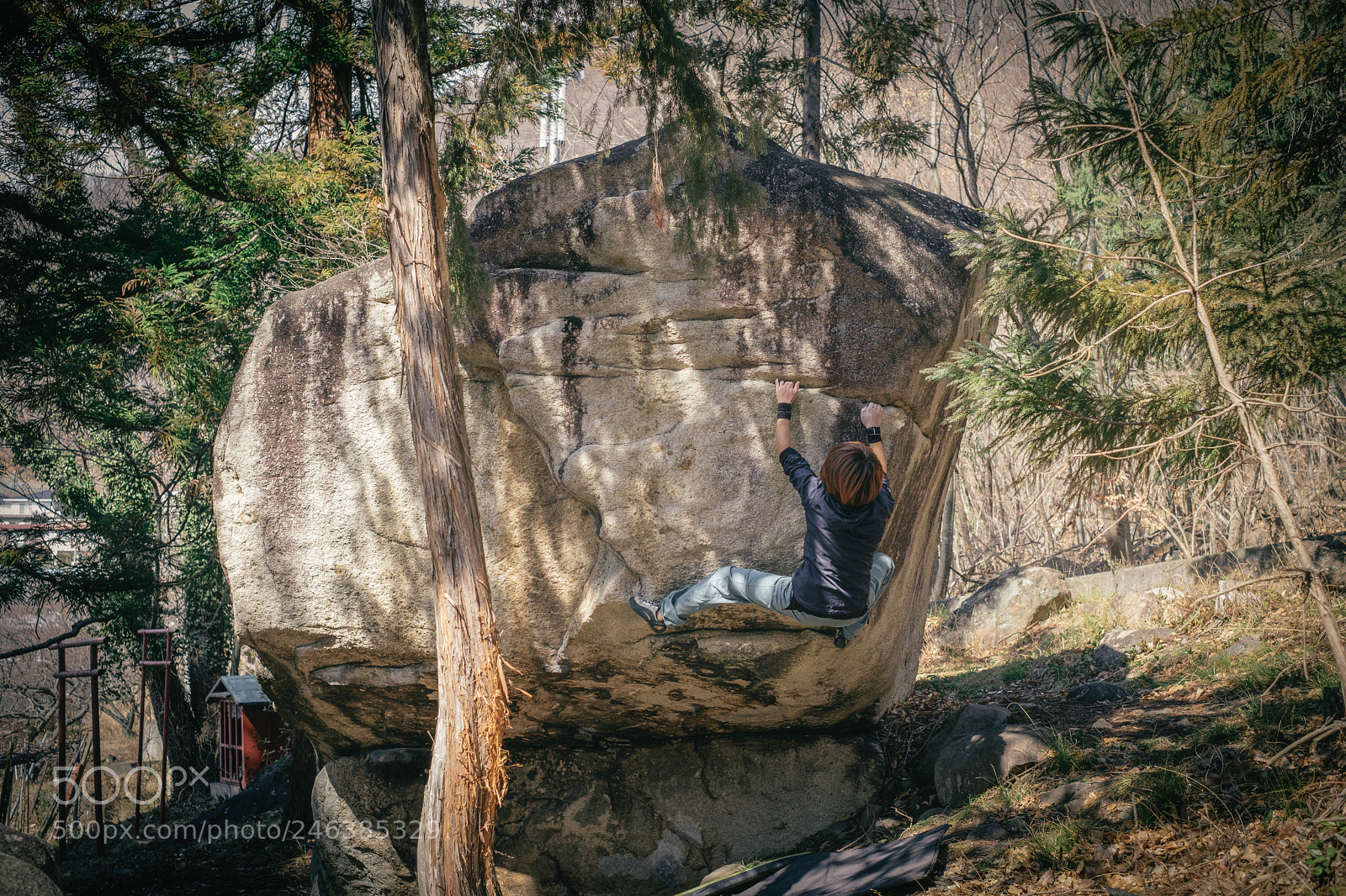Fujifilm X-T2 sample photo. Climb on photography