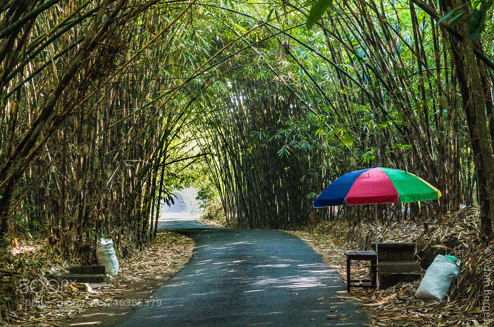 Pentax K-30 sample photo. Umbrella photography