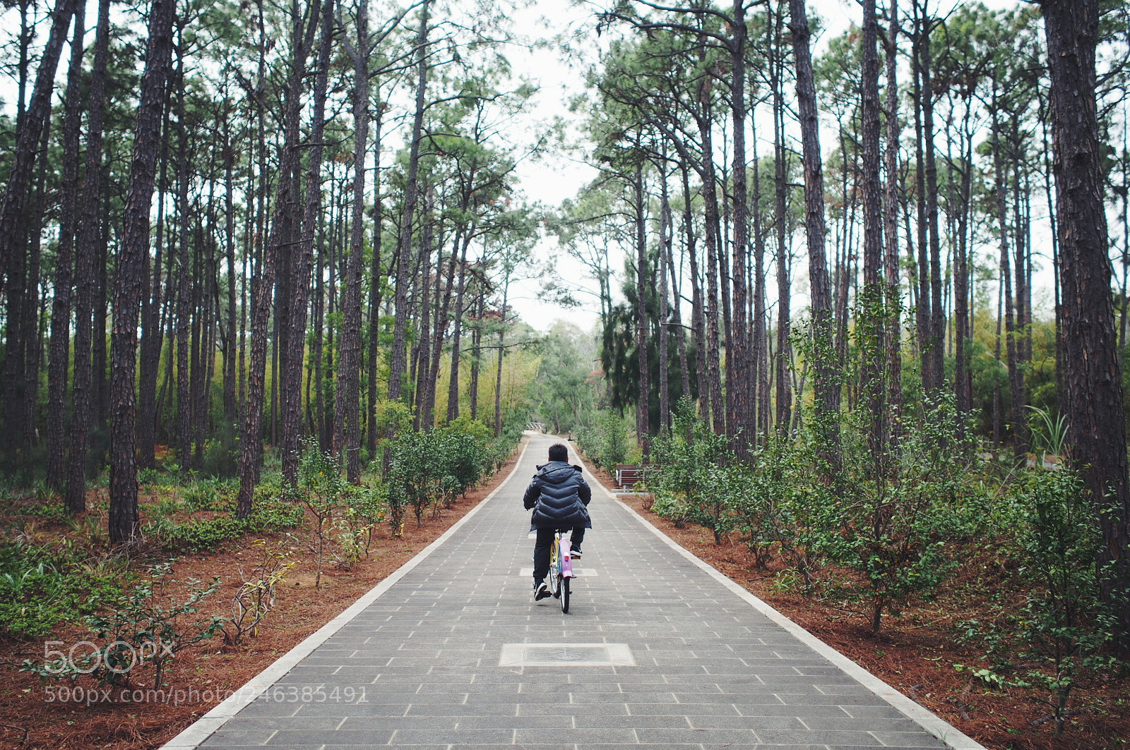 Olympus PEN E-P5 sample photo. Untitled photography
