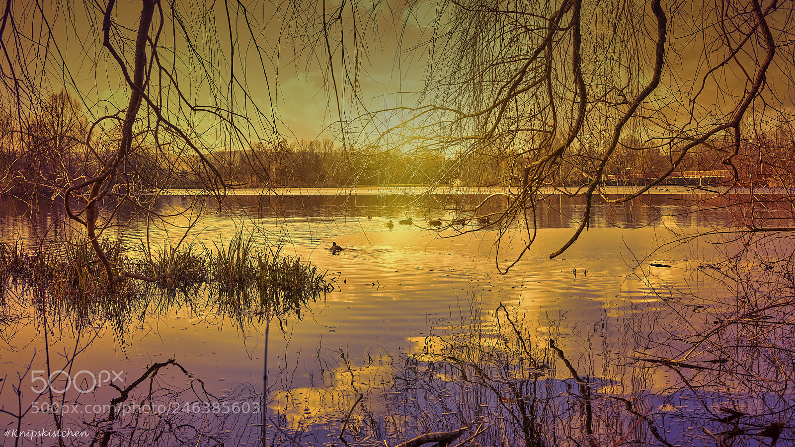 Sony a7R III sample photo. Golden sundown photography