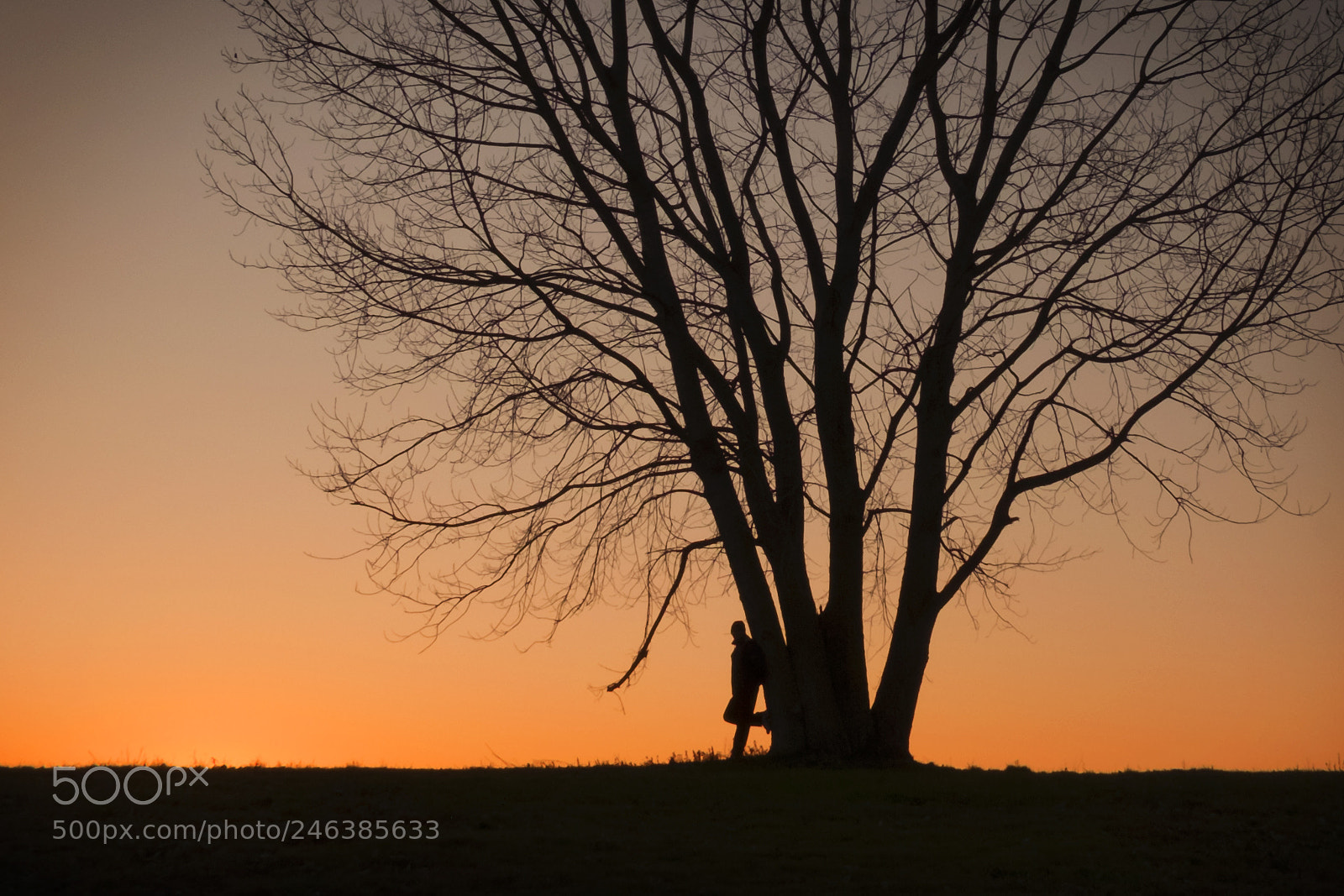 Fujifilm X-T10 sample photo. Rosso di sera photography