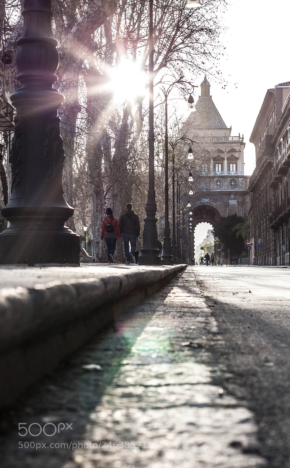 Canon EOS 50D sample photo. T r u e photography