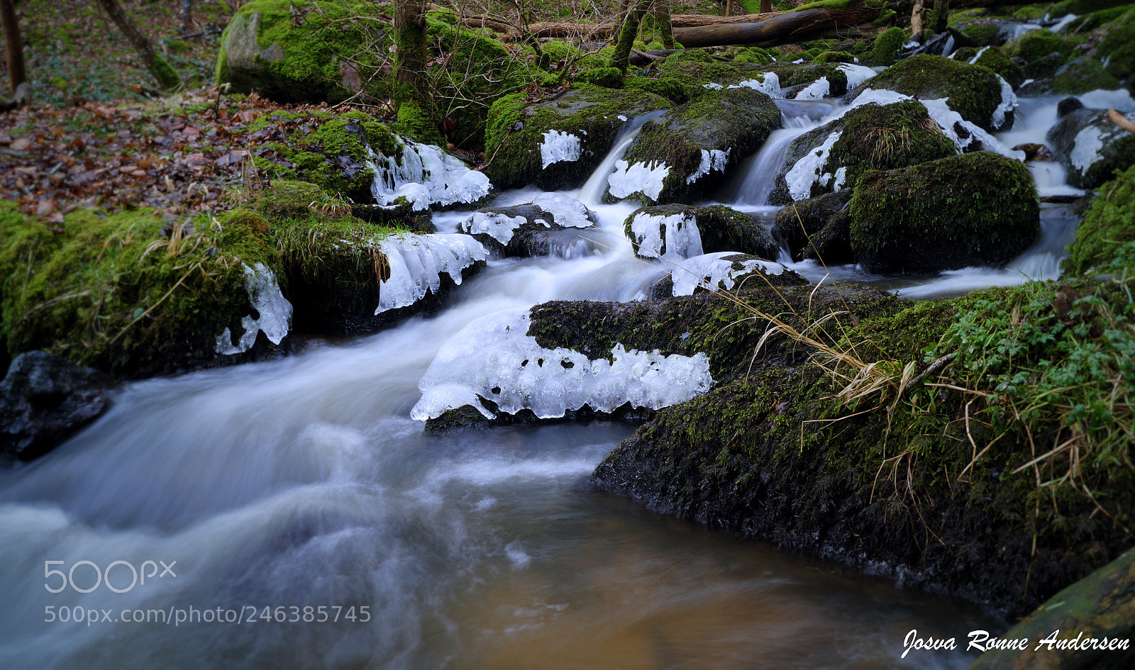 Sony SLT-A58 sample photo. Stavehoel photography
