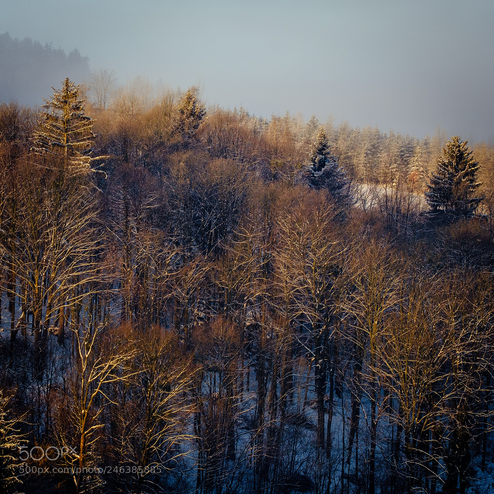 Fujifilm X-Pro2 sample photo. Moravia ix photography