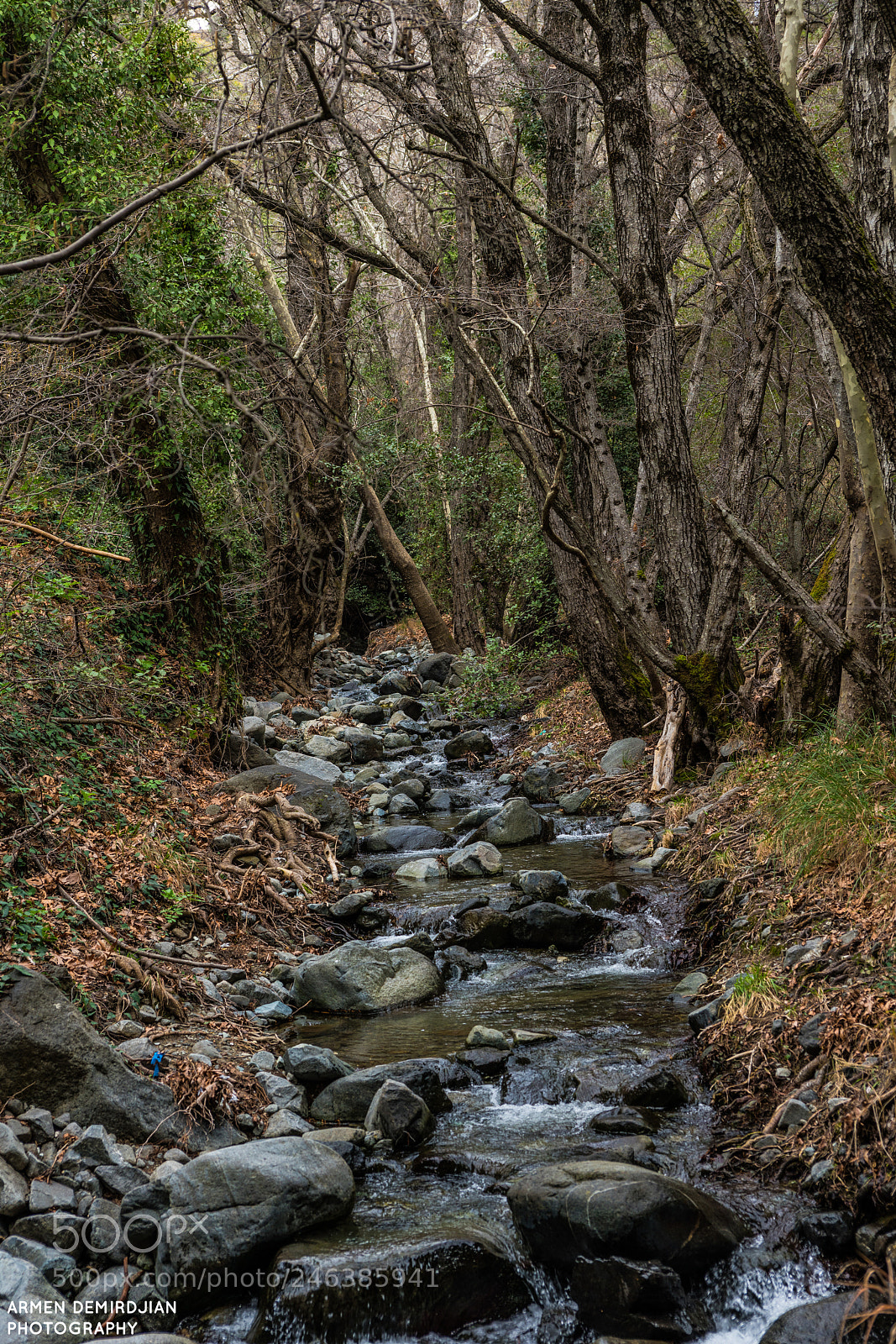 Sony a99 II sample photo. Hiking trail photography