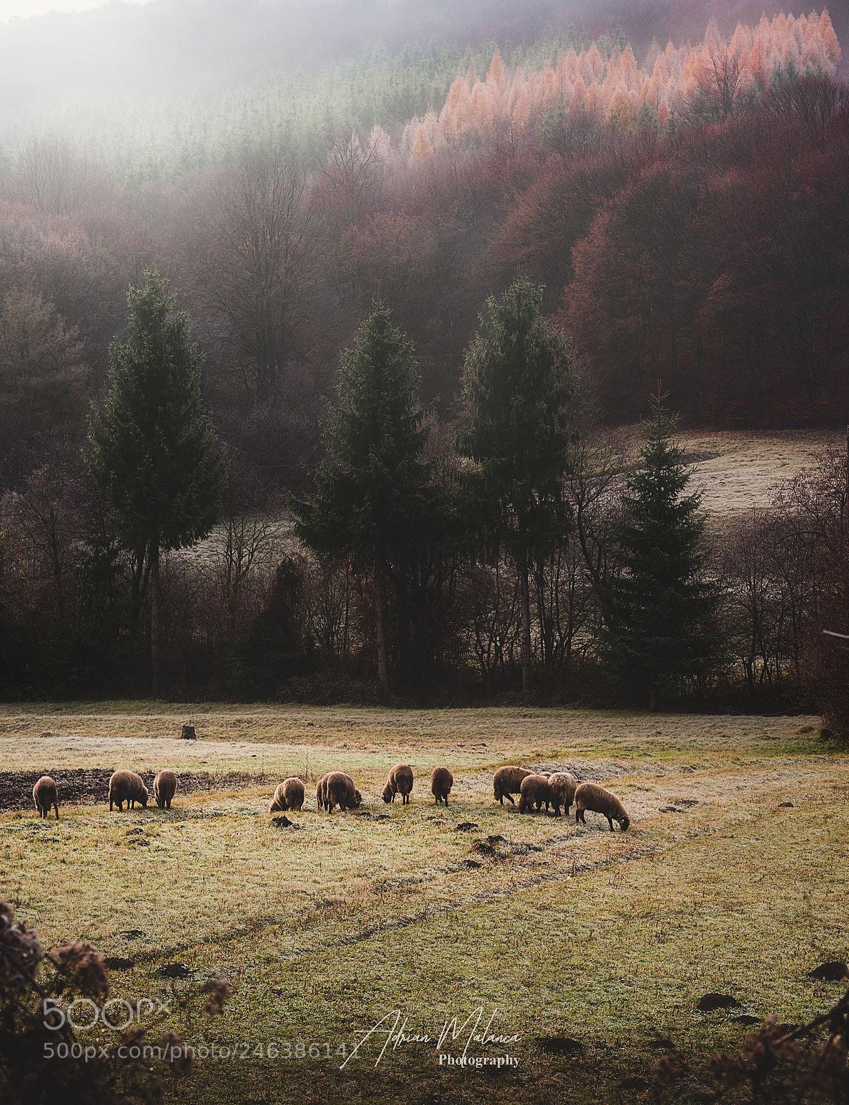 Sony Alpha NEX-6 sample photo. In the mountains in photography