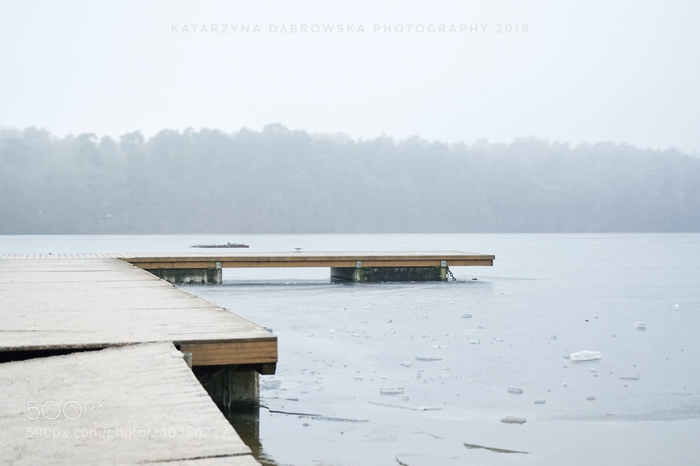 Sony a7 sample photo. Mystery and fog photography