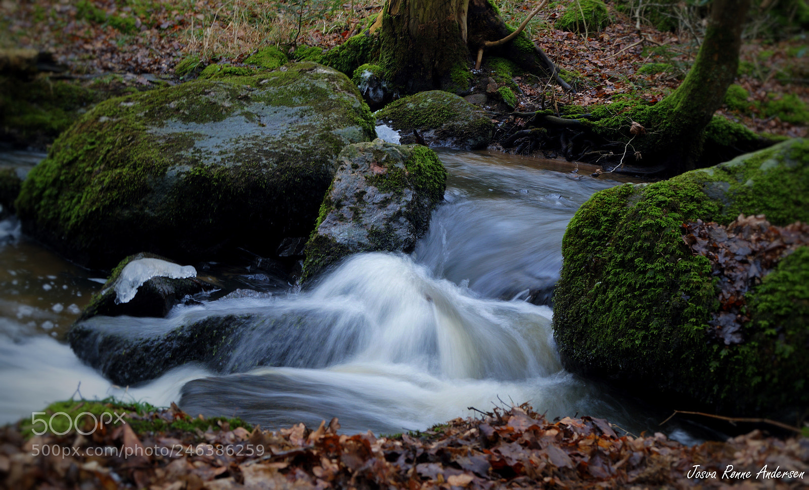 Sony SLT-A58 sample photo. Stavehoel photography