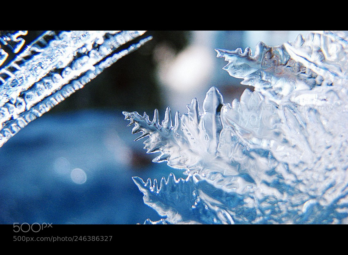 Canon POWERSHOT S5 IS sample photo. Natural ice art photography