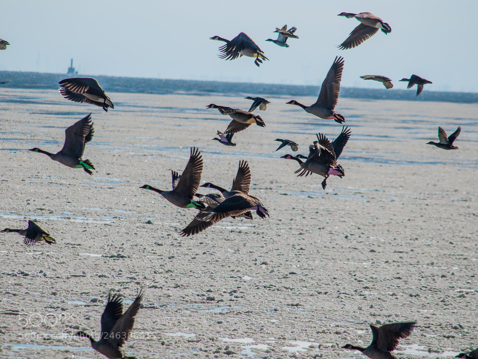 Nikon D90 sample photo. Early works photography
