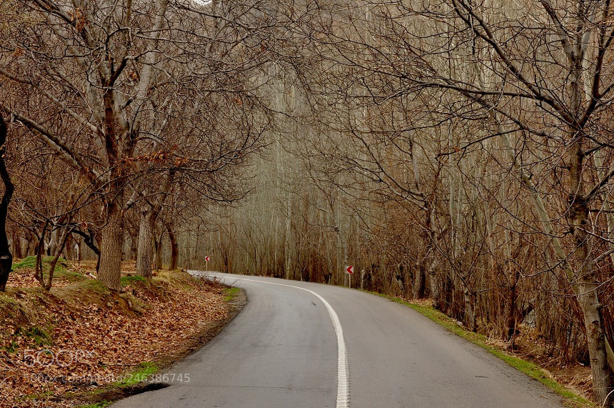 Nikon D90 sample photo. Beatiful road photography