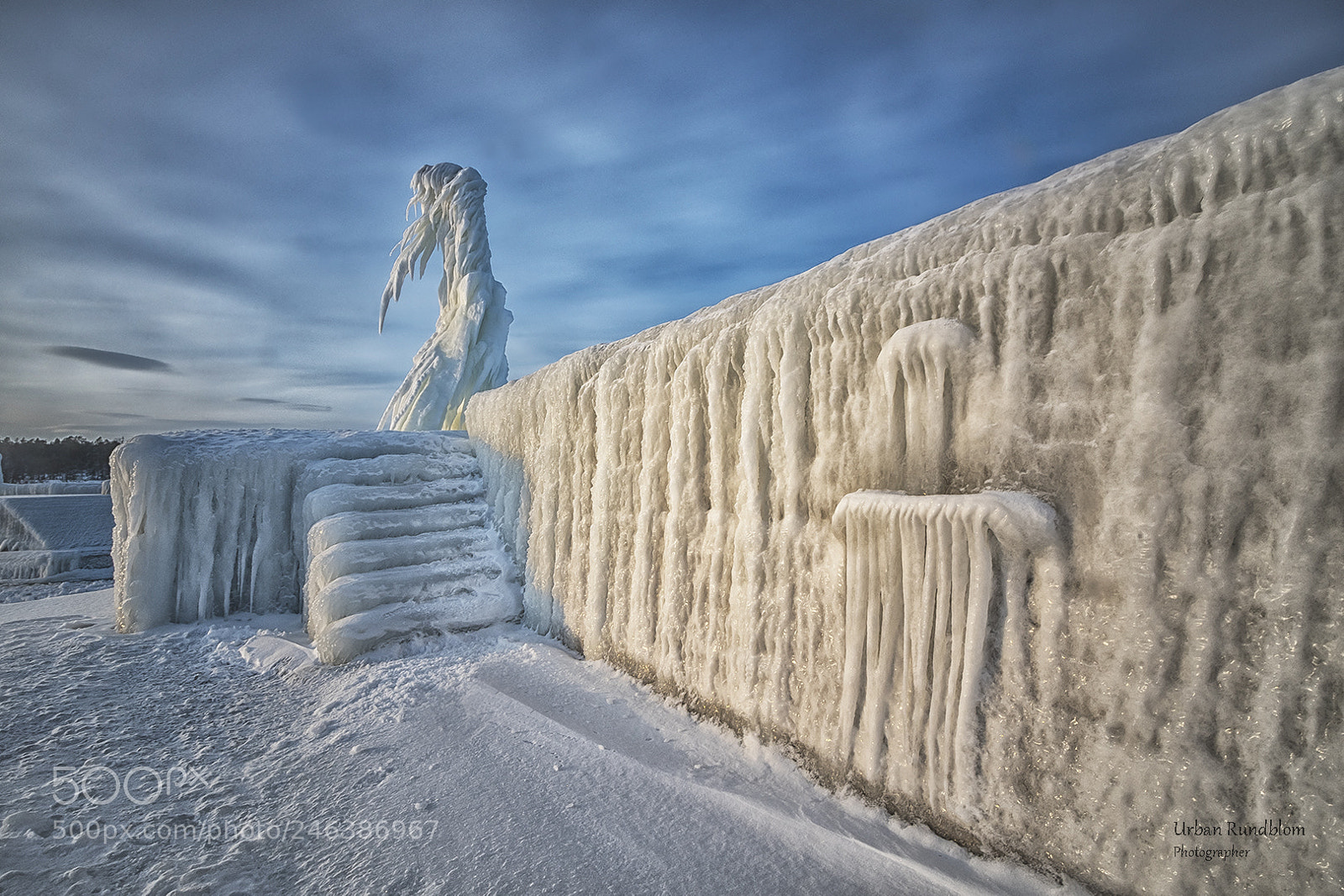 Nikon D500 sample photo. Queen of ice photography