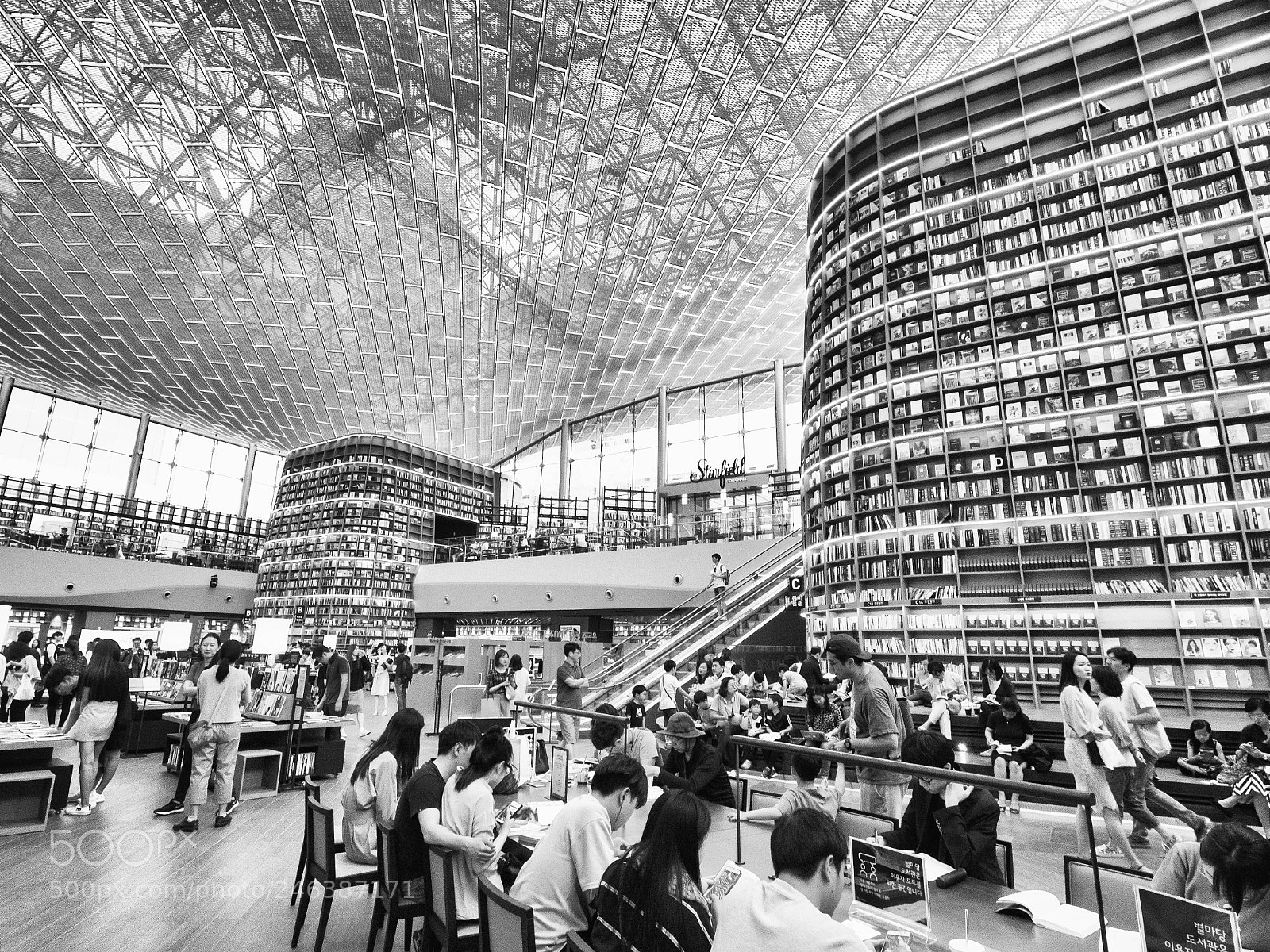 Olympus PEN E-P5 sample photo. The starfield library photography