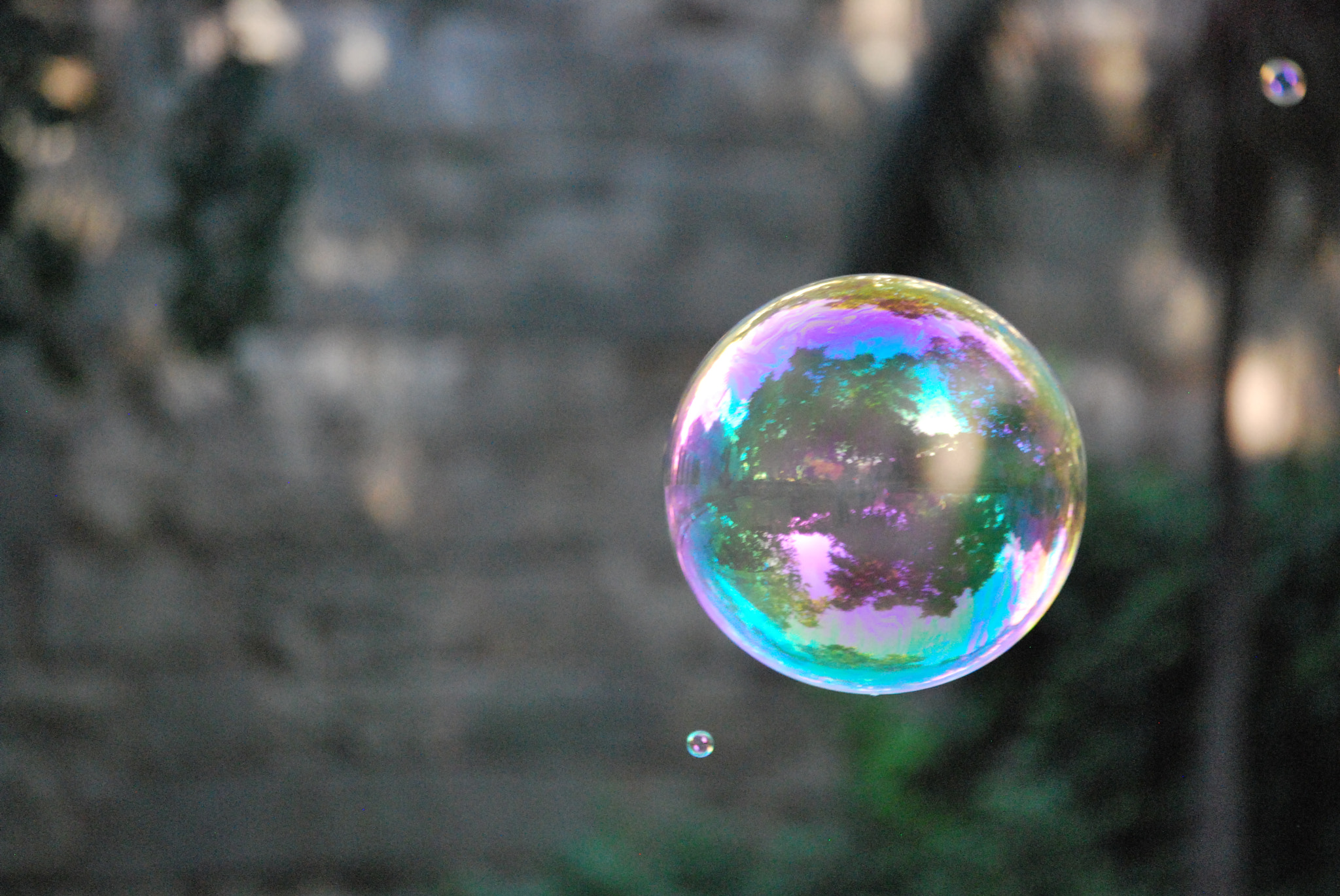 Nikon D60 sample photo. Untitled photography