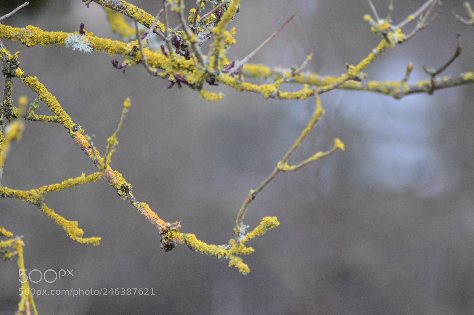 Nikon D3200 sample photo. () photography