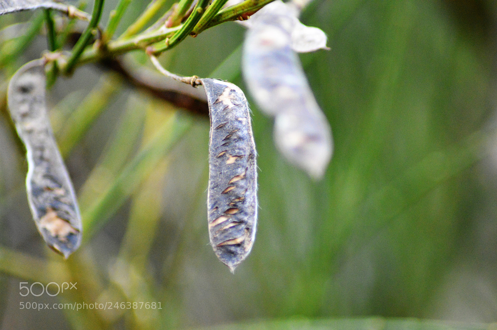 Nikon D3200 sample photo. () photography