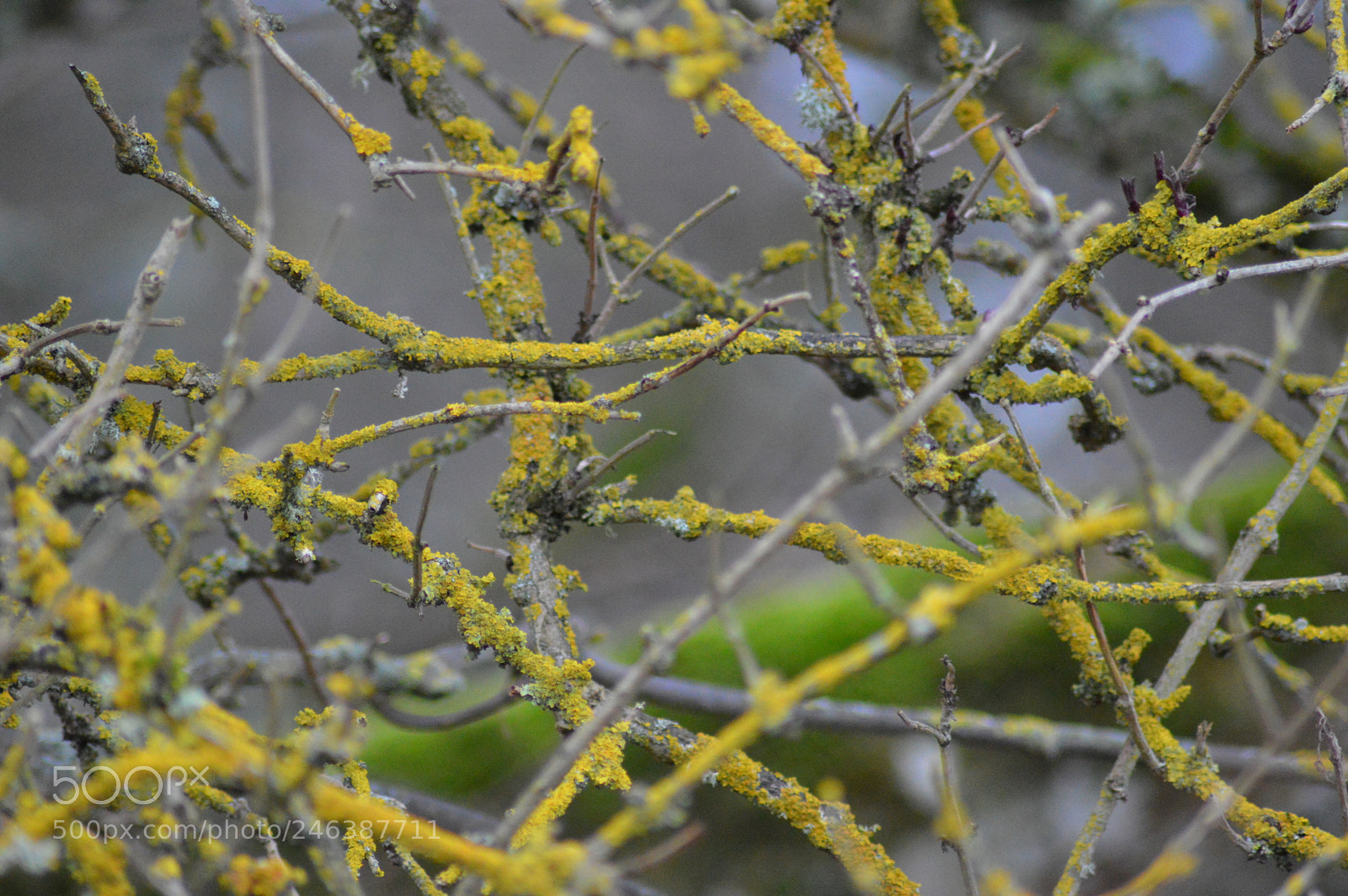 Nikon D3200 sample photo. Dsc photography