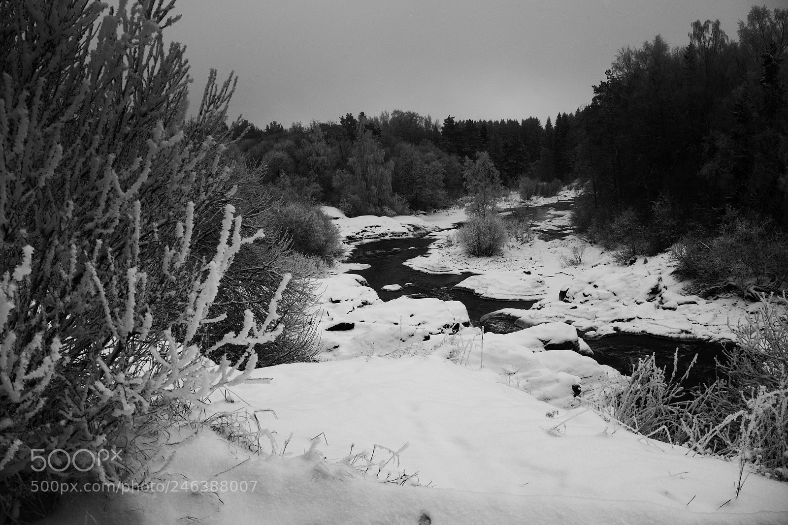 Olympus OM-D E-M10 II sample photo. Winter rapids, misty day photography