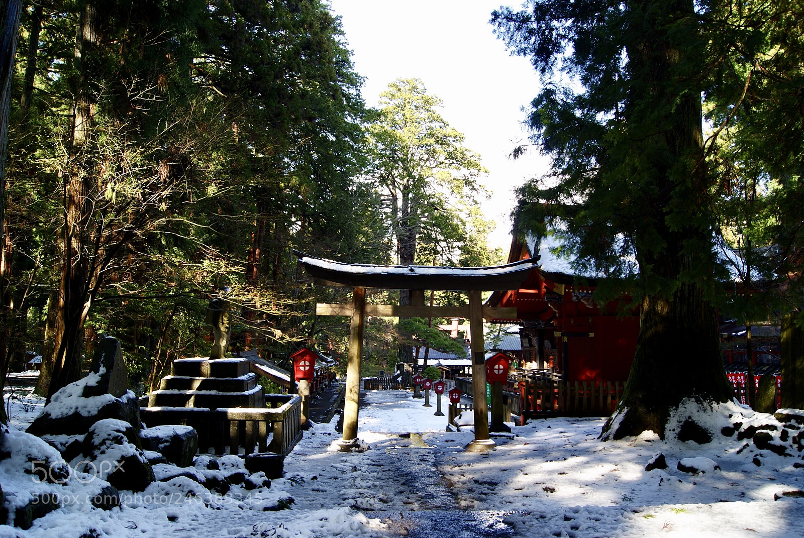 Sony Alpha DSLR-A330 sample photo. 雪化粧した北口本宮富士浅間神社 photography