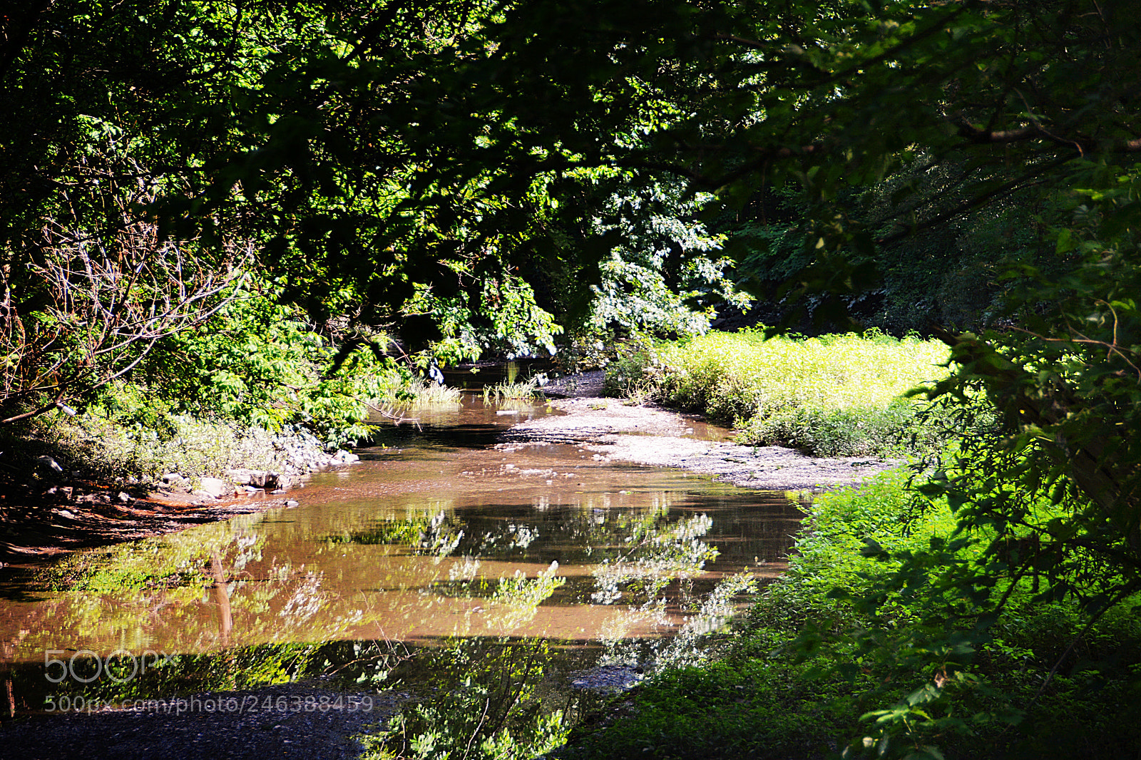 Nikon D7100 sample photo. Doux reflet photography