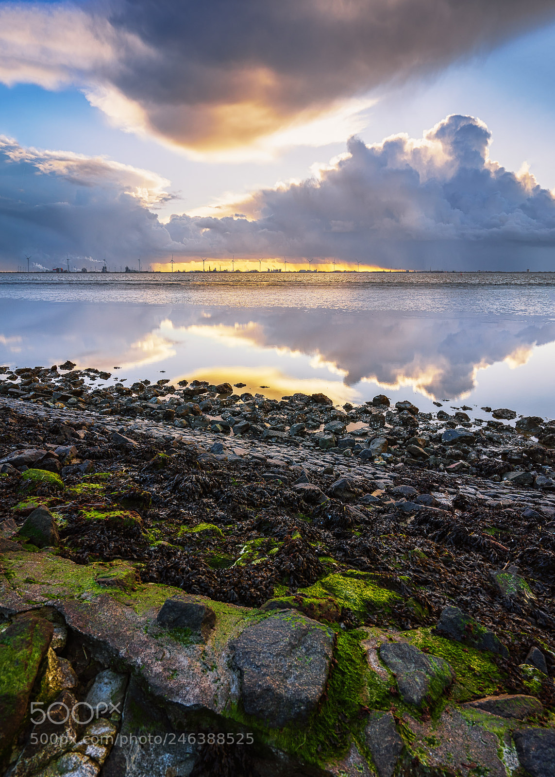 Sony a7 II sample photo. Emden knock photography