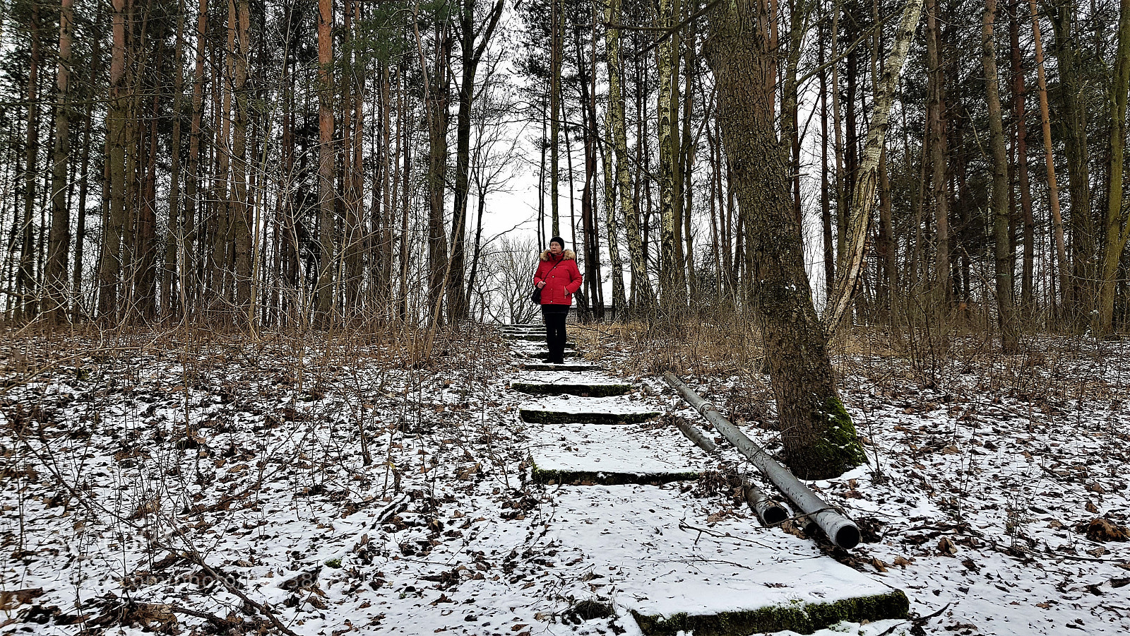 Samsung Galaxy S8+ sample photo. Fort wawrzyszew (history) photography