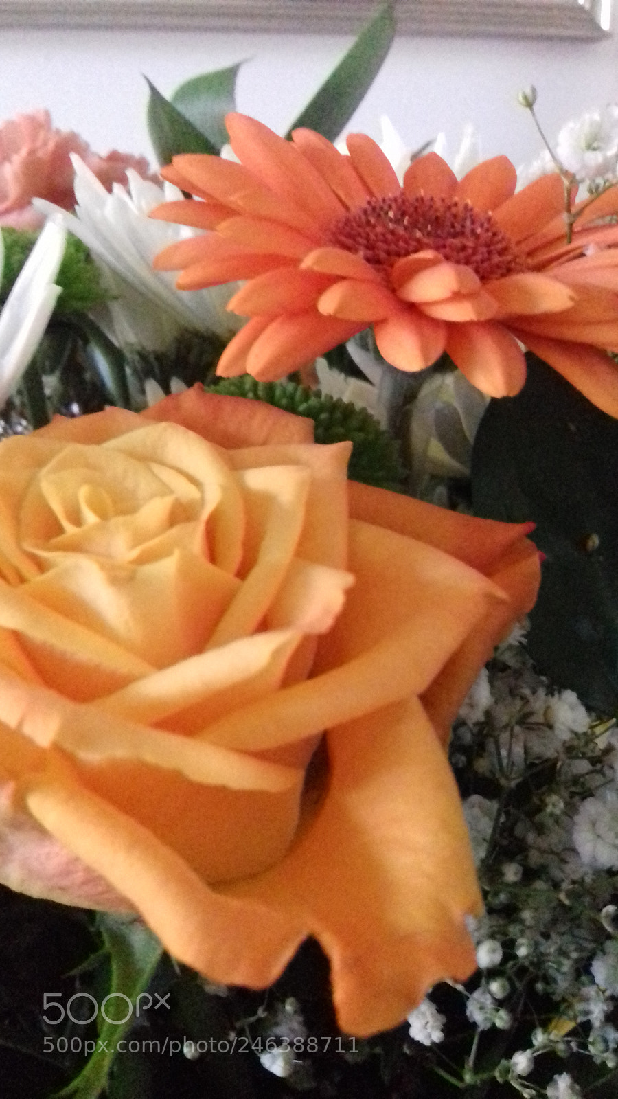 Samsung Galaxy J3(2016) sample photo. Beautiful blooms photography