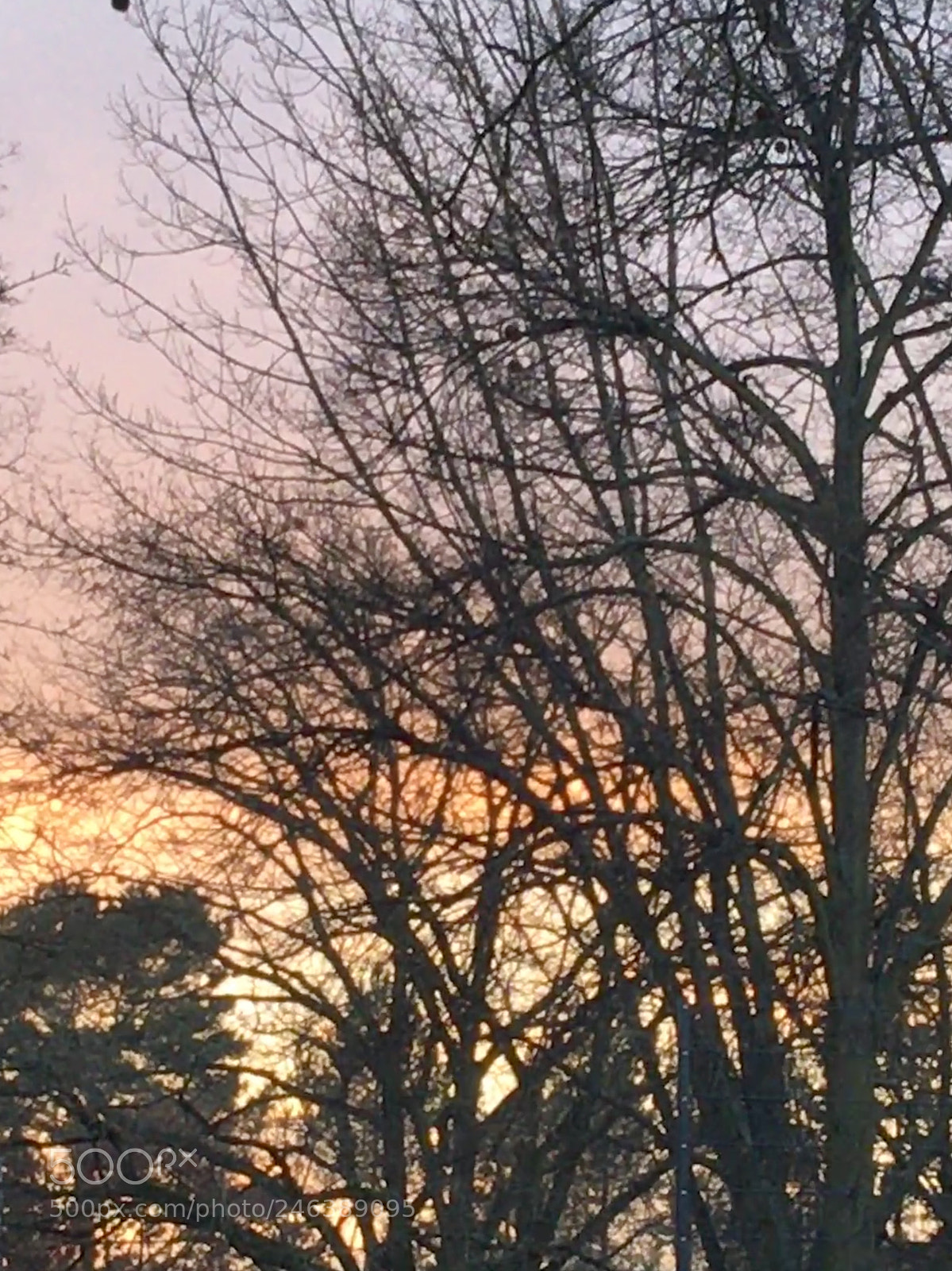 Apple iPhone SE sample photo. Sunset ? photography