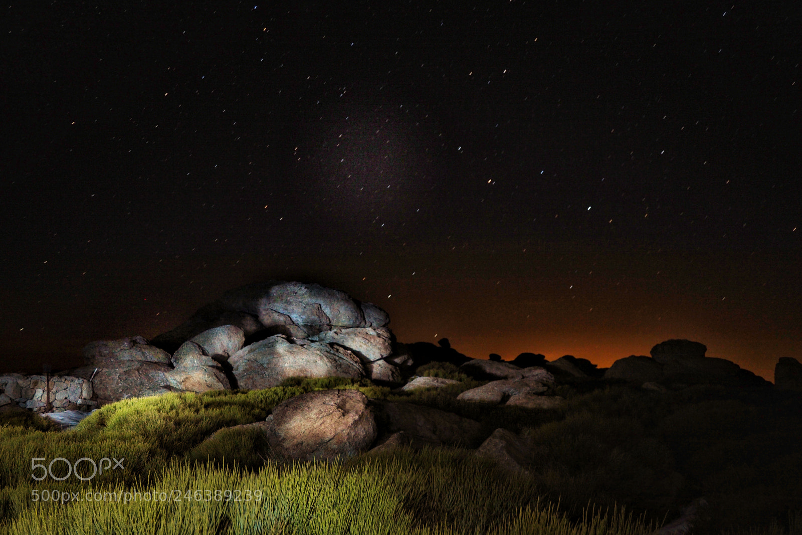 Olympus OM-D E-M10 II sample photo. Noche estrellada photography