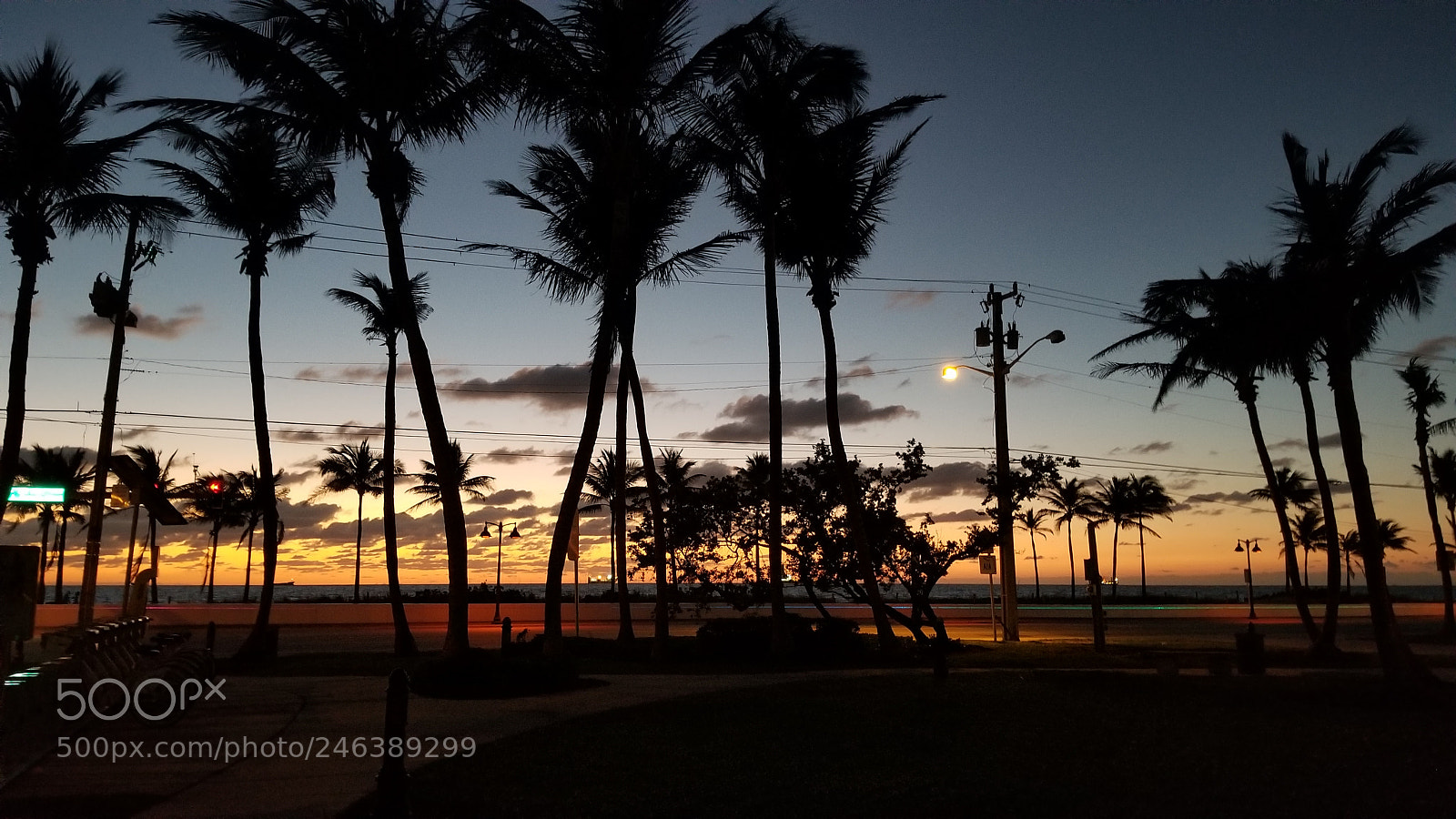 Samsung Galaxy S8+ sample photo. Untitled photography