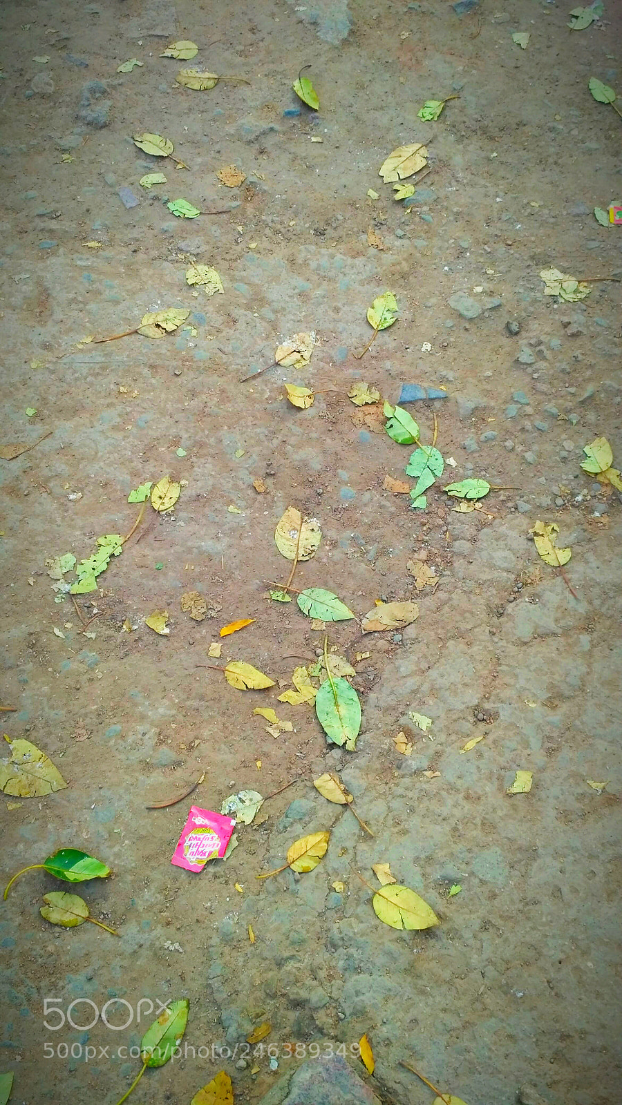 Xiaomi Redmi 3S sample photo. Untitled photography